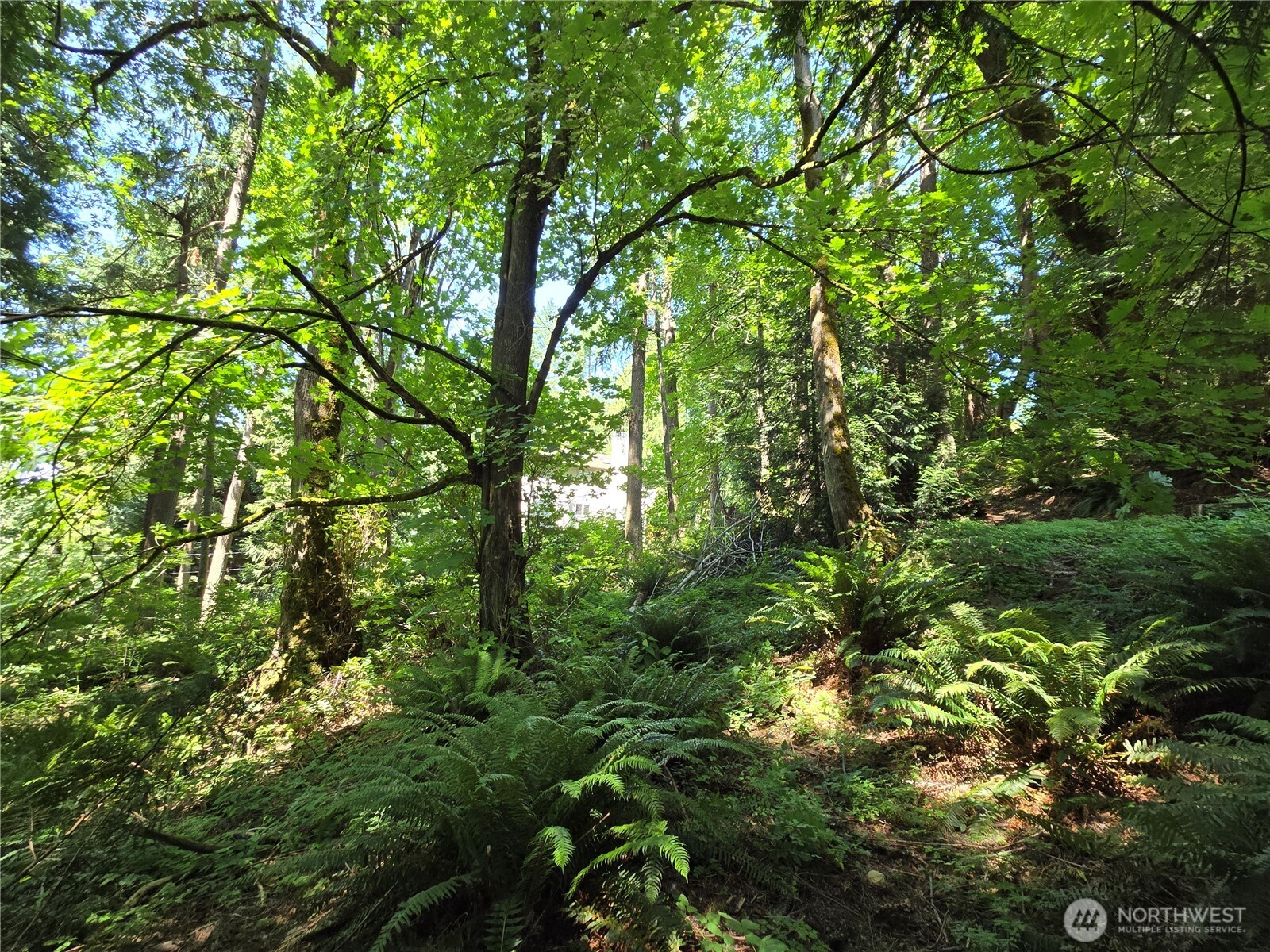 100 210th Avenue NE, Sammamish, WA 98074