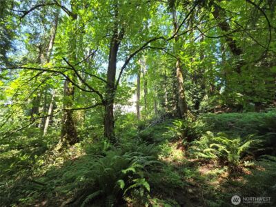 100 210th Avenue NE, Sammamish, WA 98074 - Photo 7