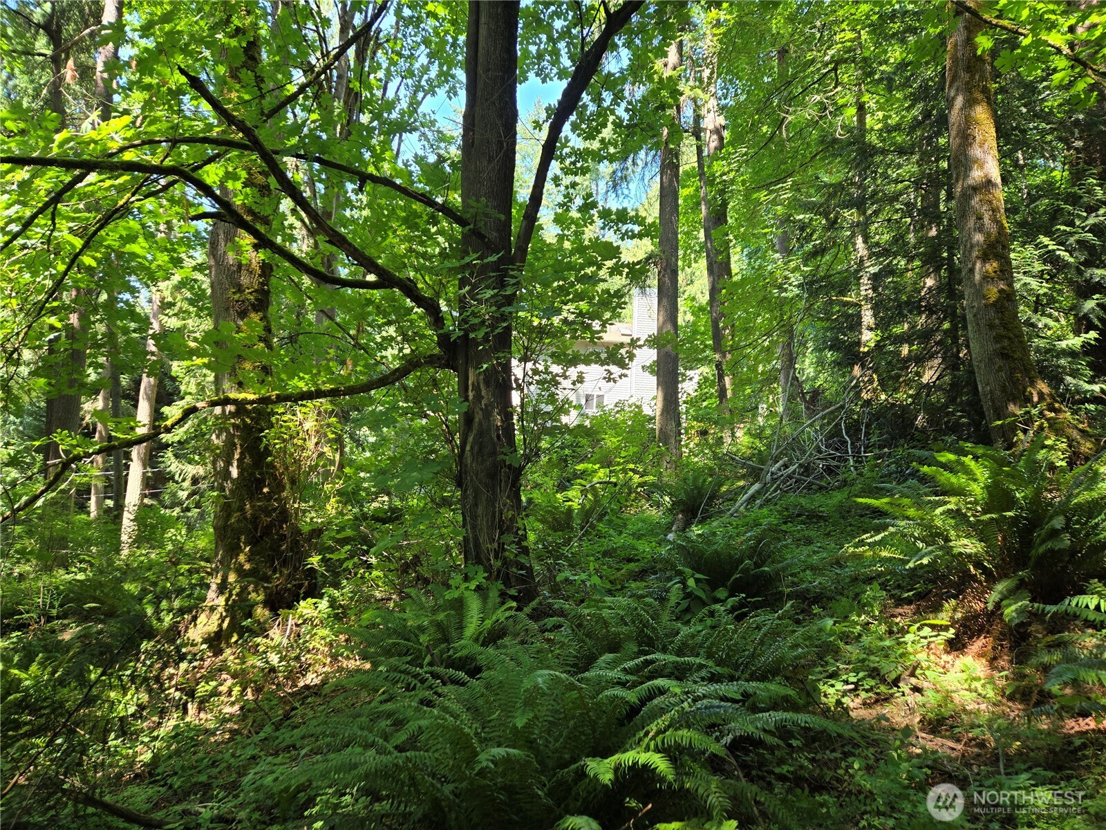 100 210th Avenue NE, Sammamish, WA 98074