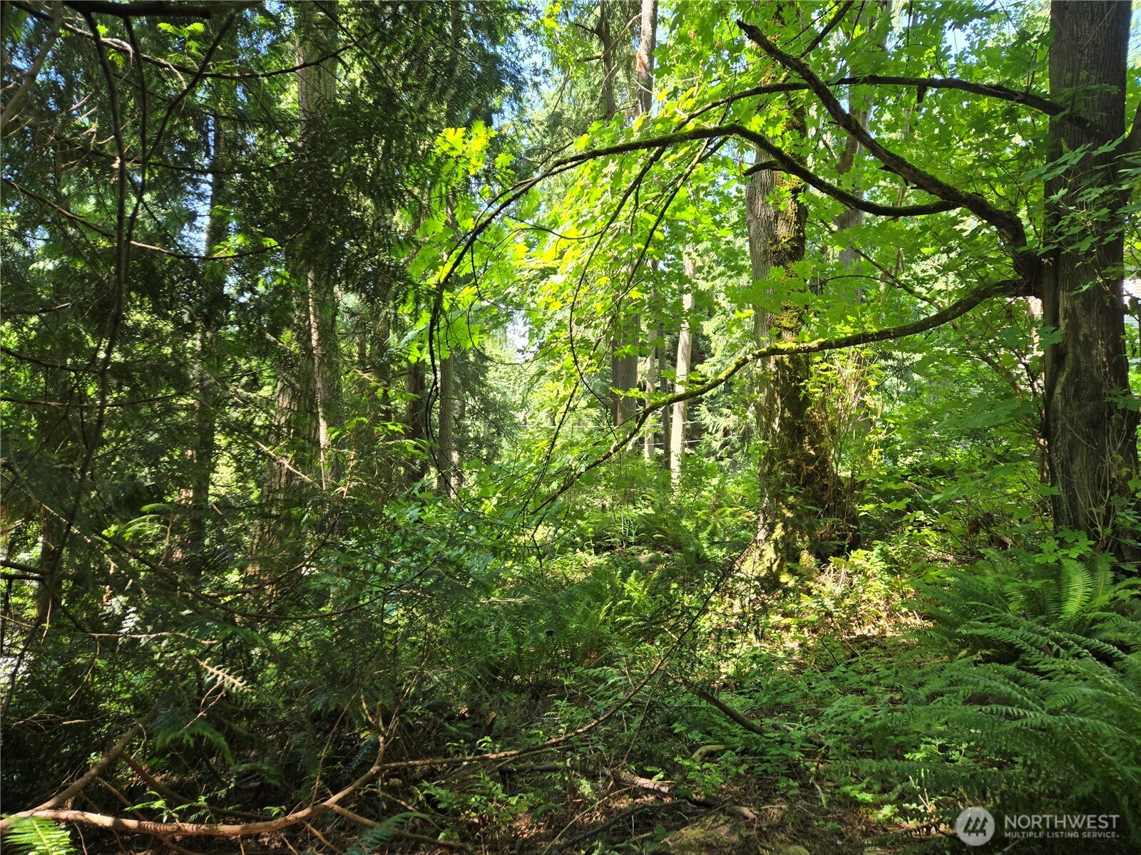 100 210th Avenue NE, Sammamish, WA 98074