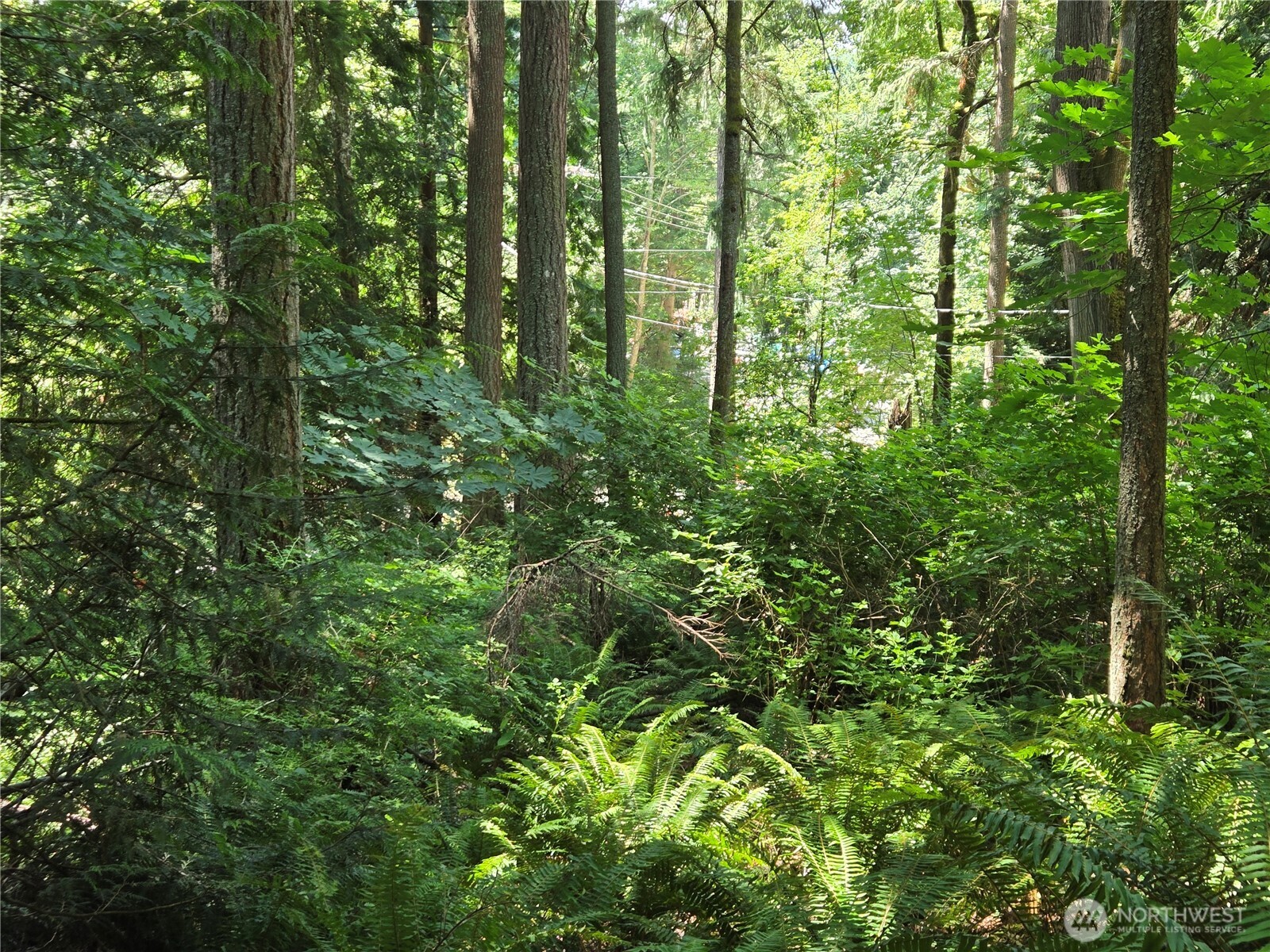 100 210th Avenue NE, Sammamish, WA 98074