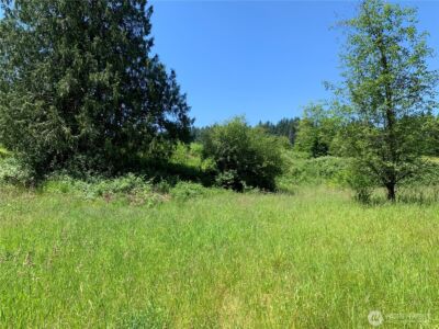 15412 Ap Tubbs Road E, Buckley, WA 98321 - Photo 14