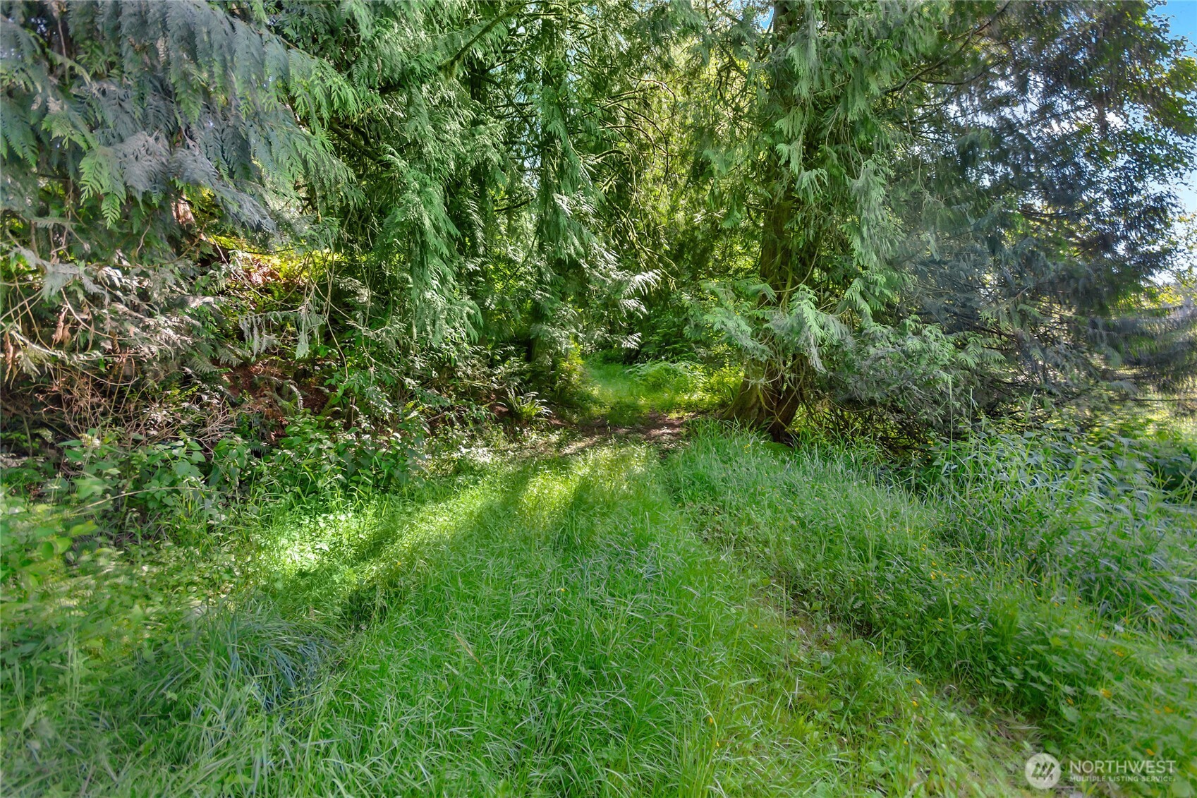 15412 Ap Tubbs Road E, Buckley, WA 98321