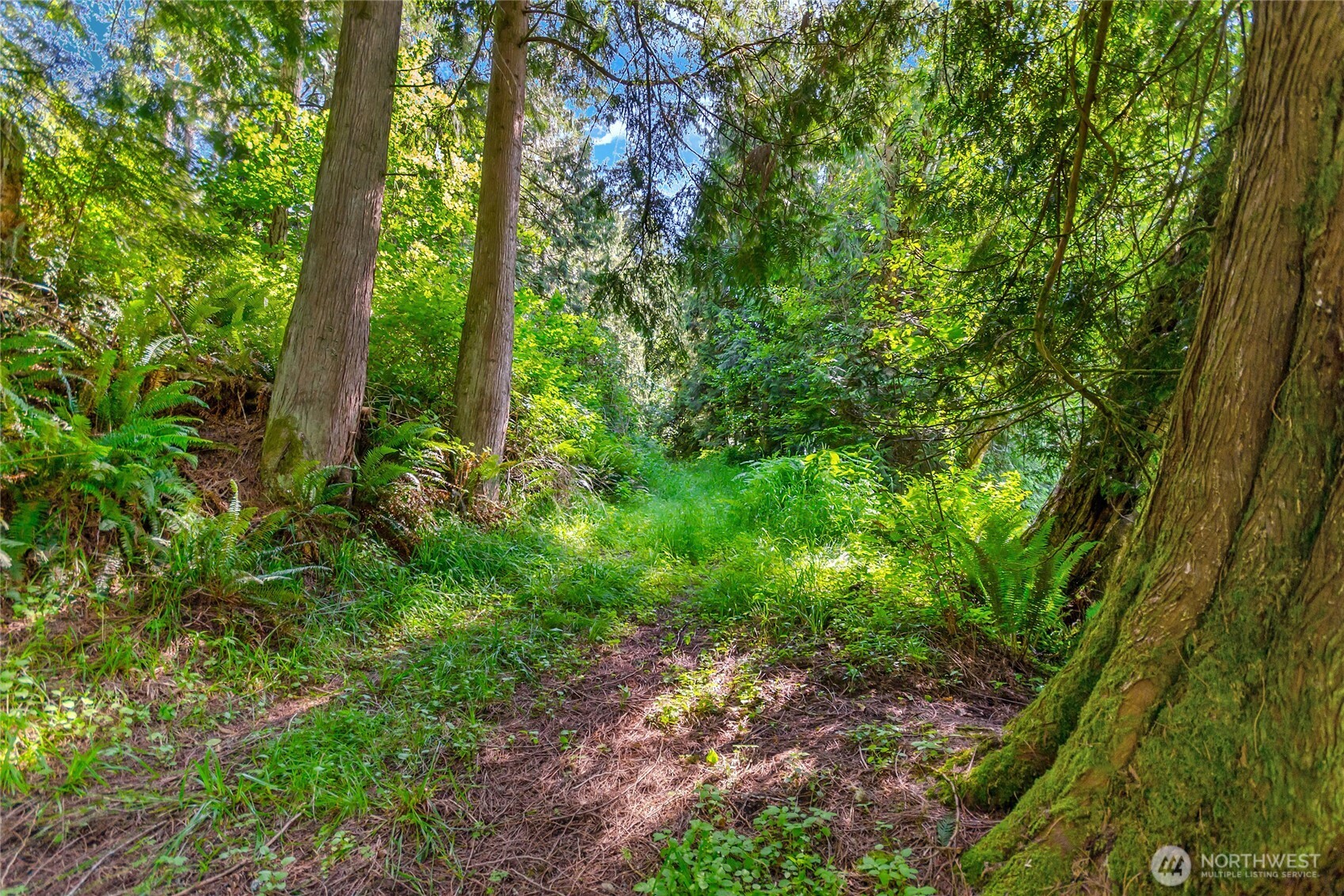 15412 Ap Tubbs Road E, Buckley, WA 98321