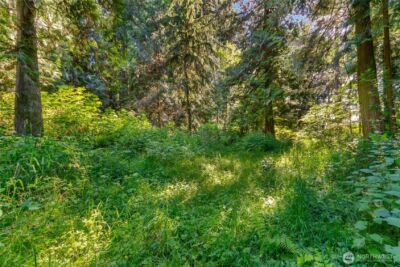 15412 Ap Tubbs Road E, Buckley, WA 98321 - Photo 21