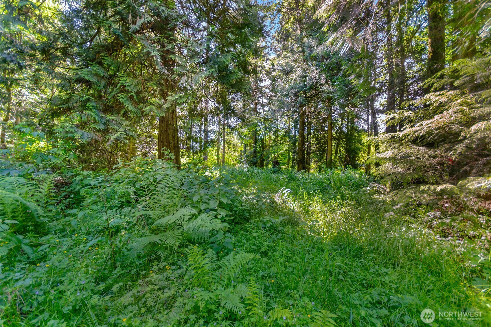 15412 Ap Tubbs Road E, Buckley, WA 98321