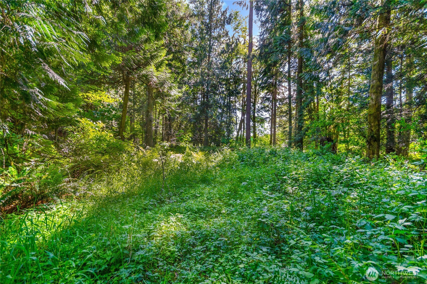 15412 Ap Tubbs Road E, Buckley, WA 98321