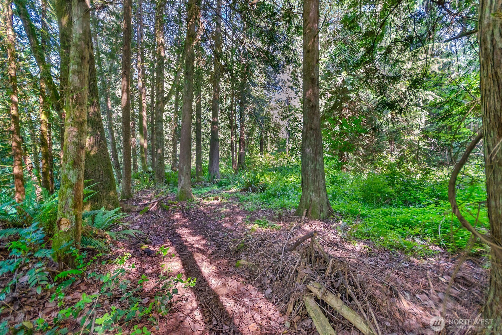 15412 Ap Tubbs Road E, Buckley, WA 98321