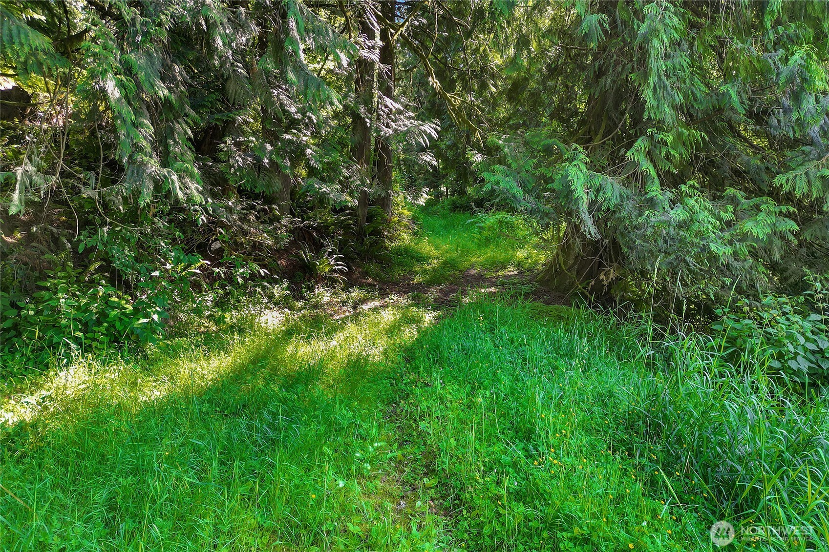 15412 Ap Tubbs Road E, Buckley, WA 98321