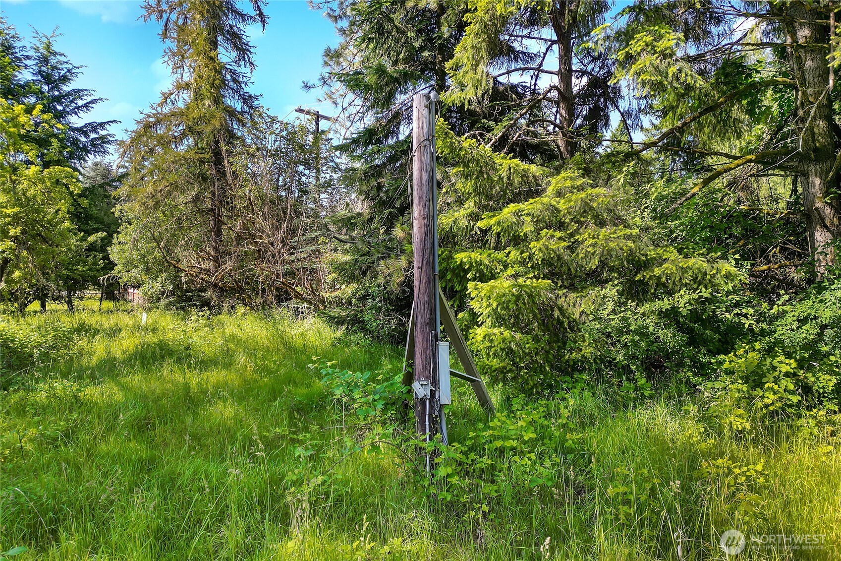 15412 Ap Tubbs Road E, Buckley, WA 98321