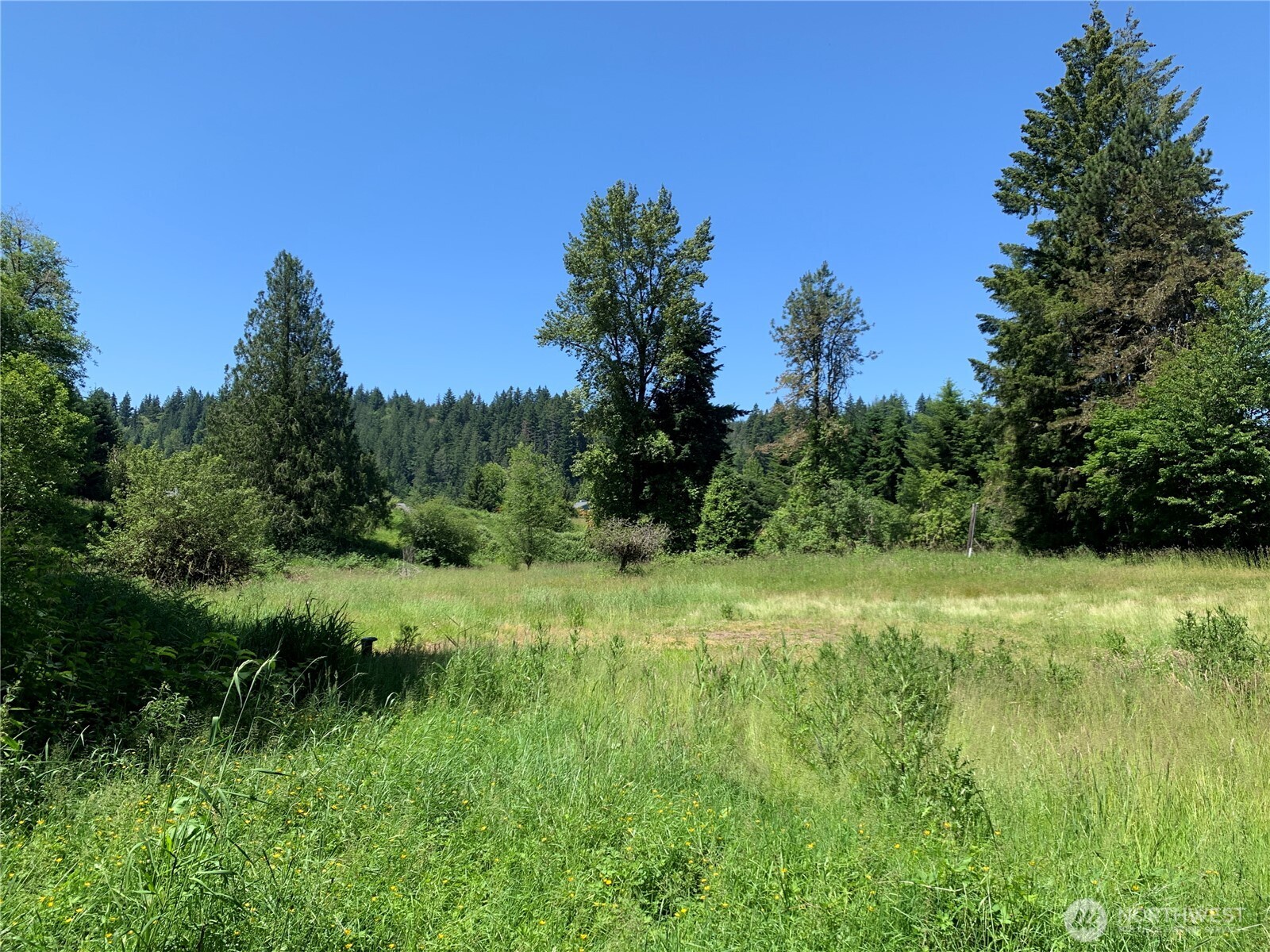 15412 Ap Tubbs Road E, Buckley, WA 98321