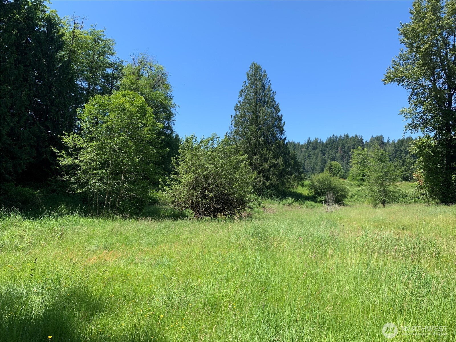 15412 Ap Tubbs Road E, Buckley, WA 98321