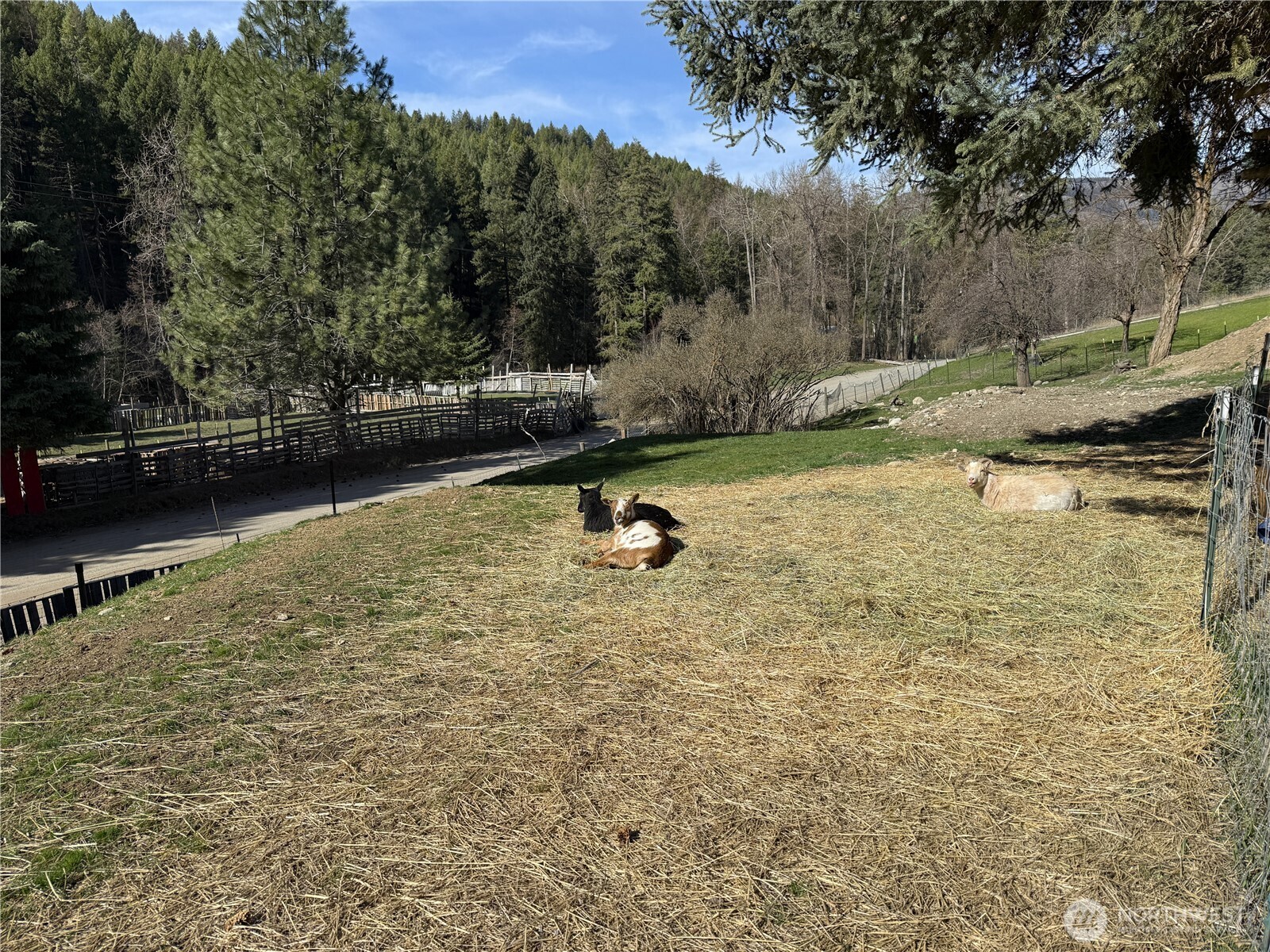 155 St. Peter's Creek Road , Malo, WA 99150