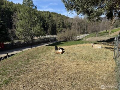 155 St. Peter's Creek Road , Malo, WA 99150 - Photo 26