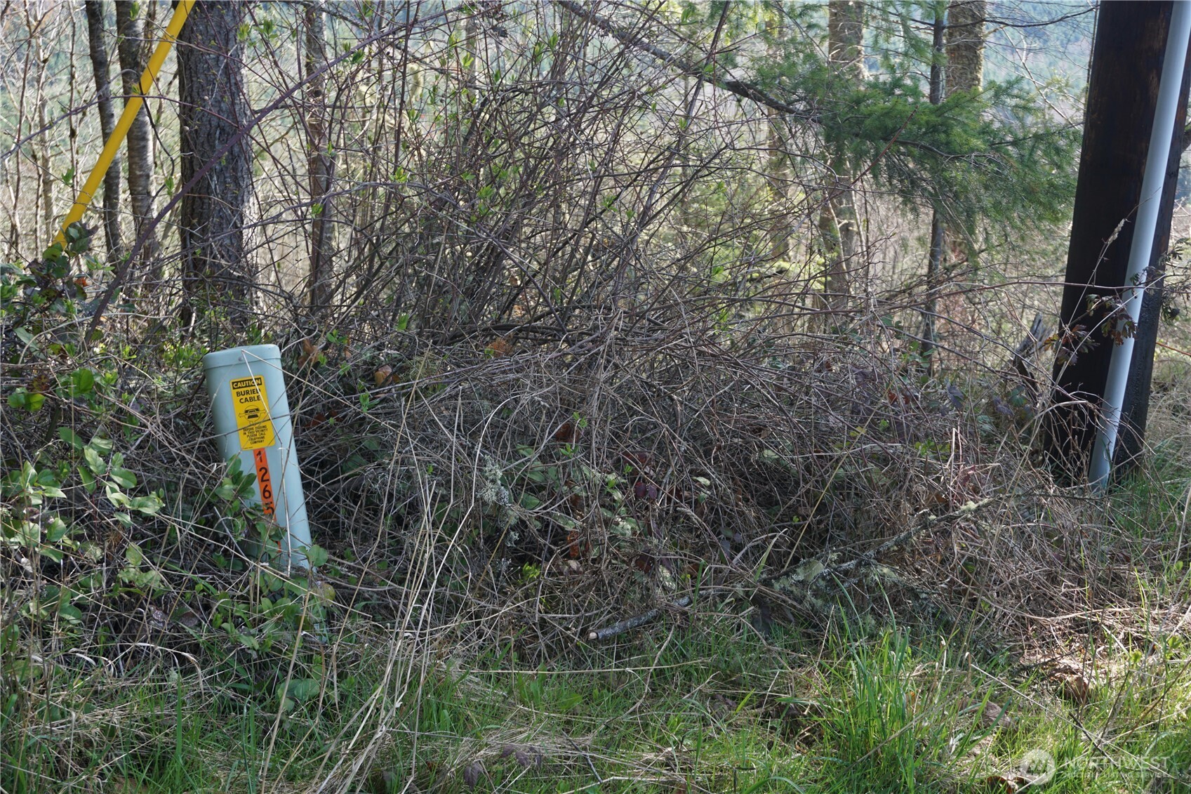 50215 146th Avenue E, Eatonville, WA 98328