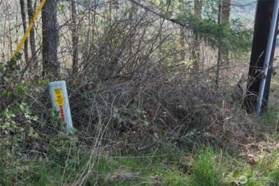 50215 146th Avenue E, Eatonville, WA 98328 - Photo 11