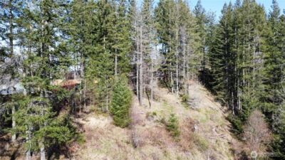 50215 146th Avenue E, Eatonville, WA 98328 - Photo 2