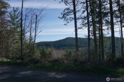 50215 146th Avenue E, Eatonville, WA 98328 - Photo 5