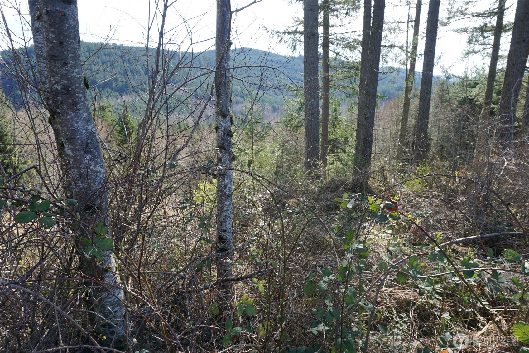 50215 146th Avenue E, Eatonville, WA 98328