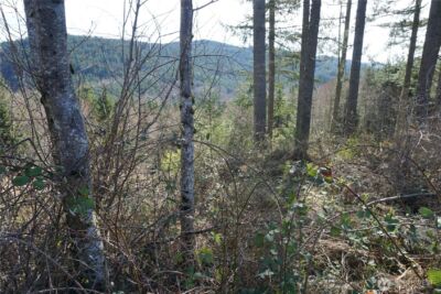 50215 146th Avenue E, Eatonville, WA 98328 - Photo 7