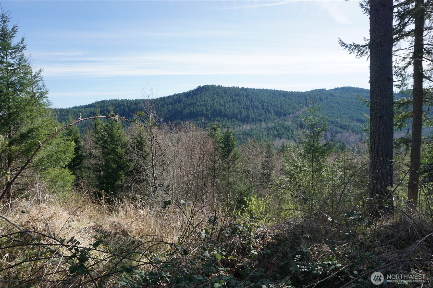 50215 146th Avenue E, Eatonville, WA 98328