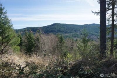 50215 146th Avenue E, Eatonville, WA 98328 - Photo 8