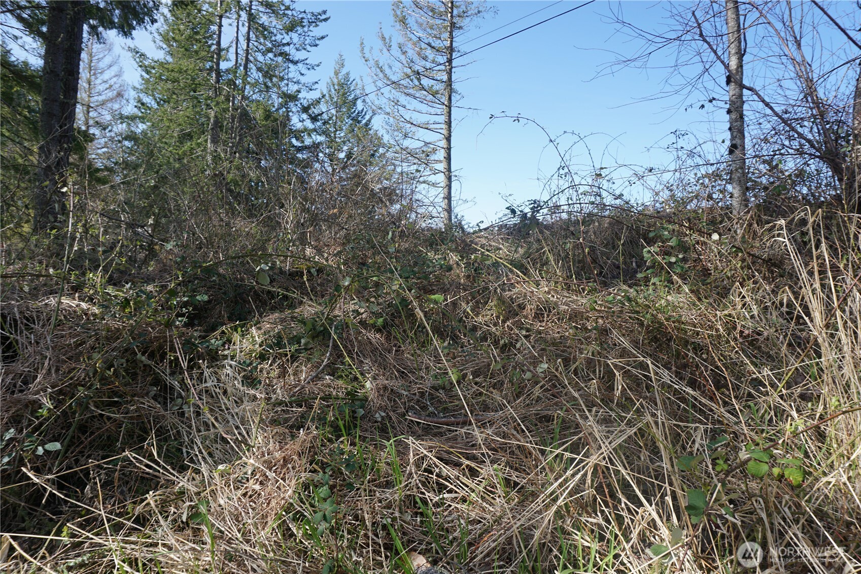 50215 146th Avenue E, Eatonville, WA 98328