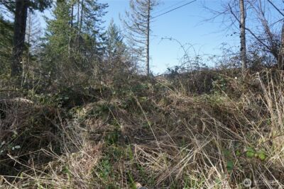 50215 146th Avenue E, Eatonville, WA 98328 - Photo 9