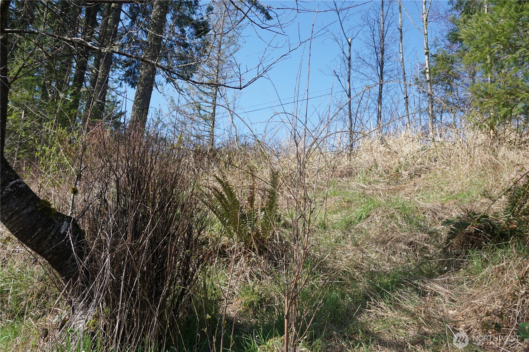 50215 146th Avenue E, Eatonville, WA 98328