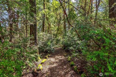 15335 Sunrise Drive NE, Bainbridge Island, WA 98110 - Photo 35