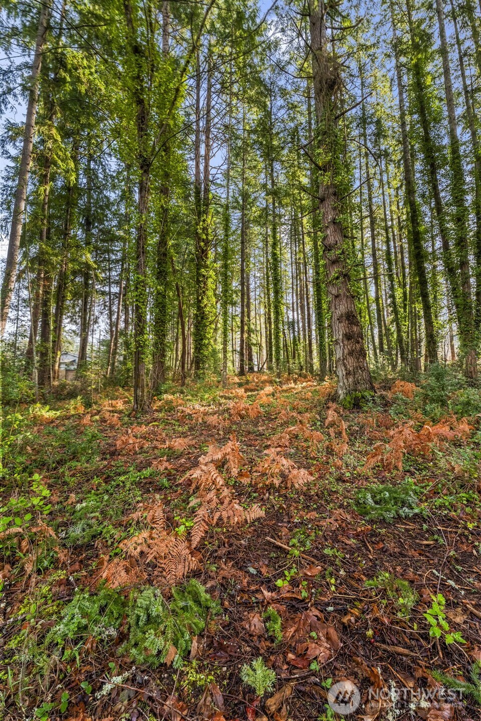 8617 86th Avenue NW, Gig Harbor, WA 98332