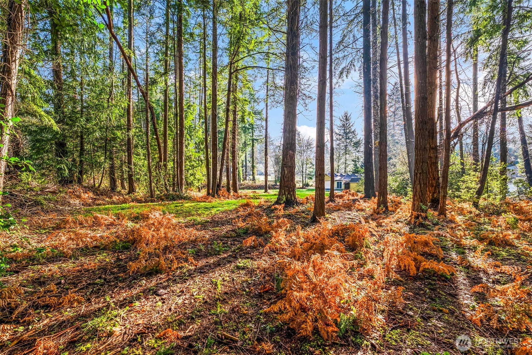 8617 86th Avenue NW, Gig Harbor, WA 98332