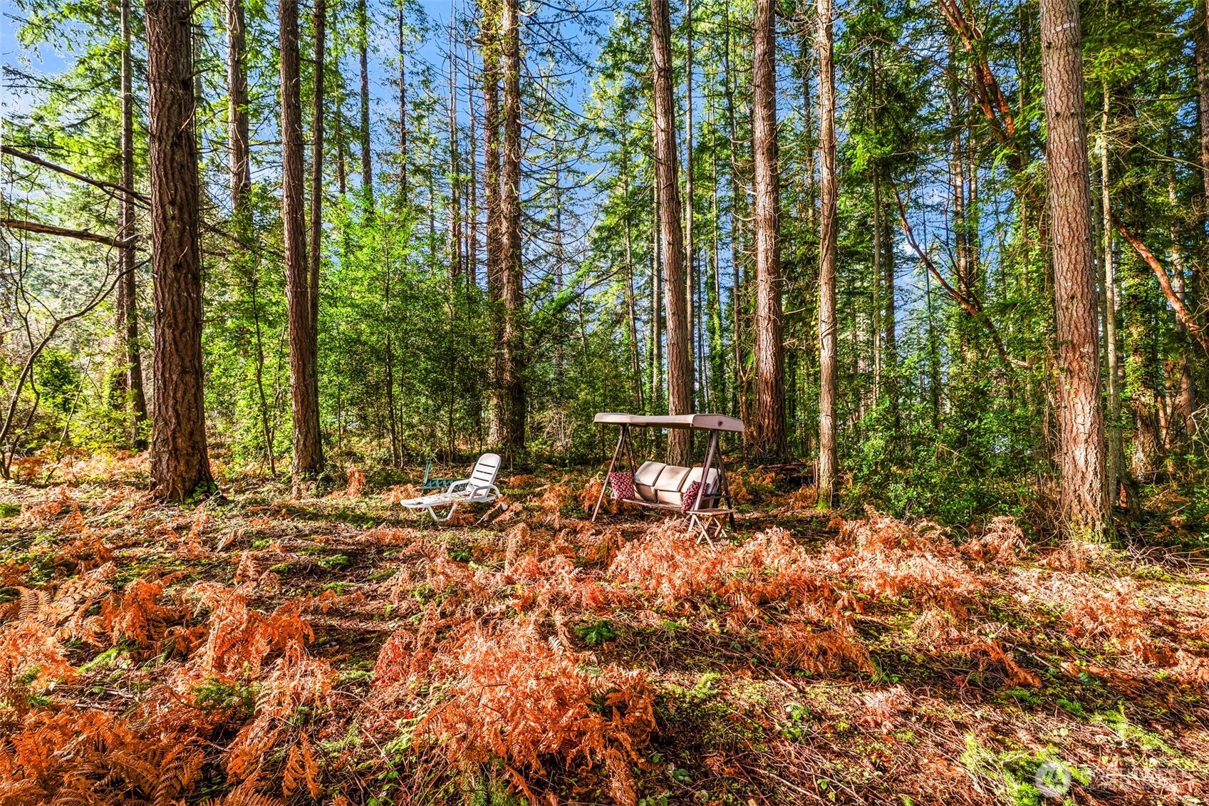8617 86th Avenue NW, Gig Harbor, WA 98332
