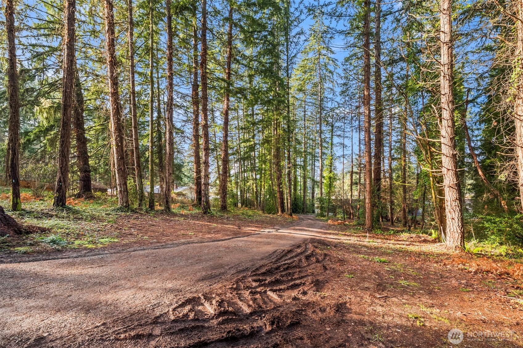 8617 86th Avenue NW, Gig Harbor, WA 98332