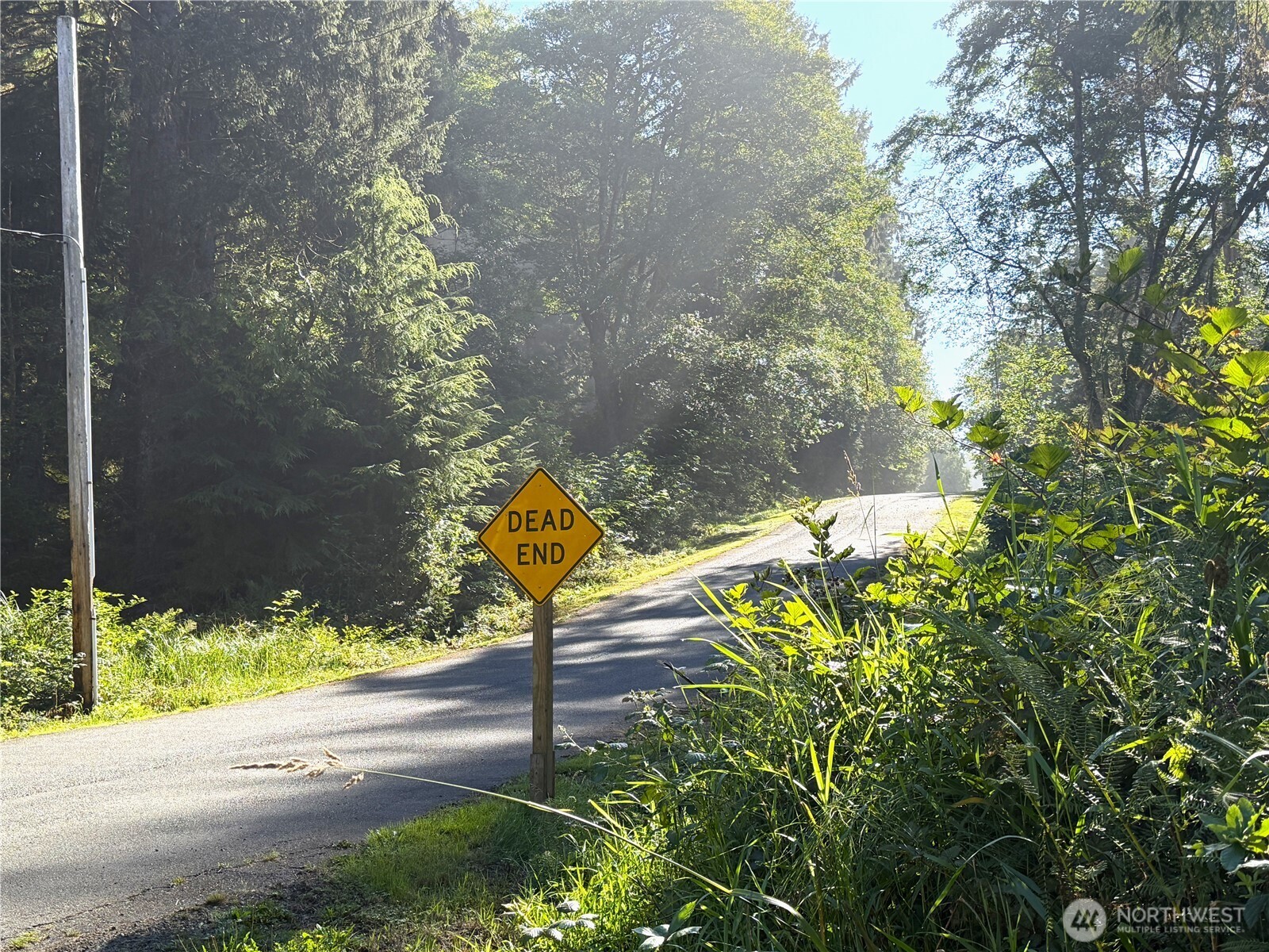 23 Copalis R V Lane , Copalis Beach, WA 98535