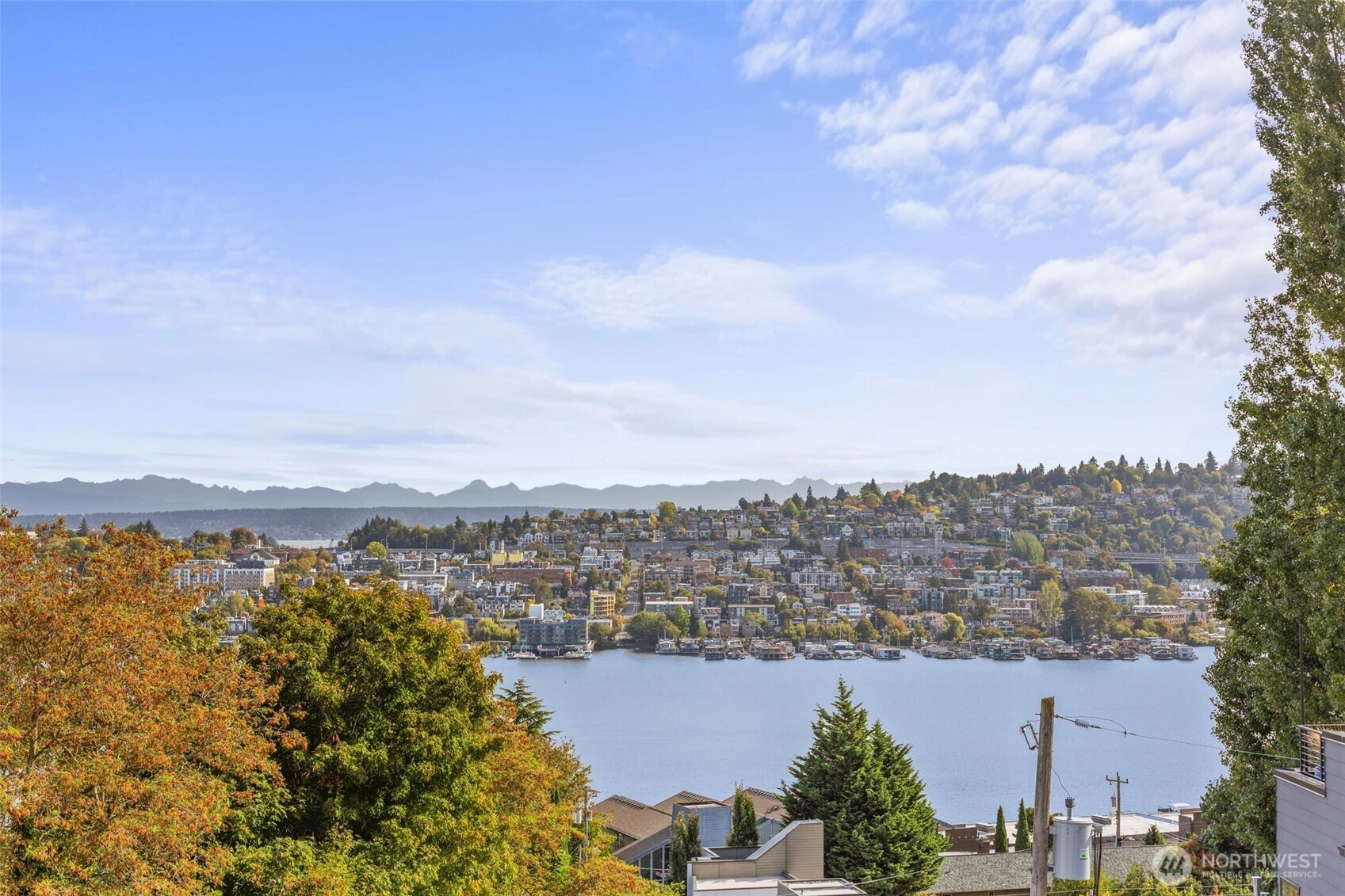 559 McGraw Street #402, Seattle, WA 98109