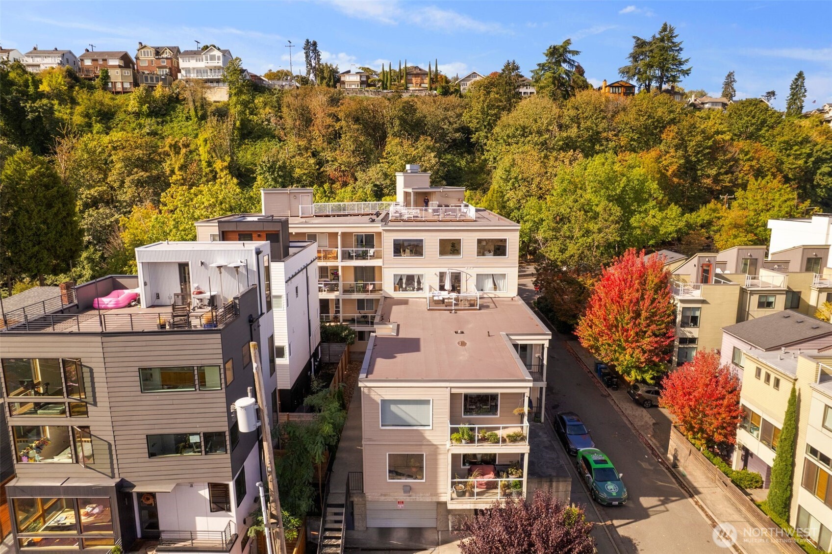 559 McGraw Street #402, Seattle, WA 98109