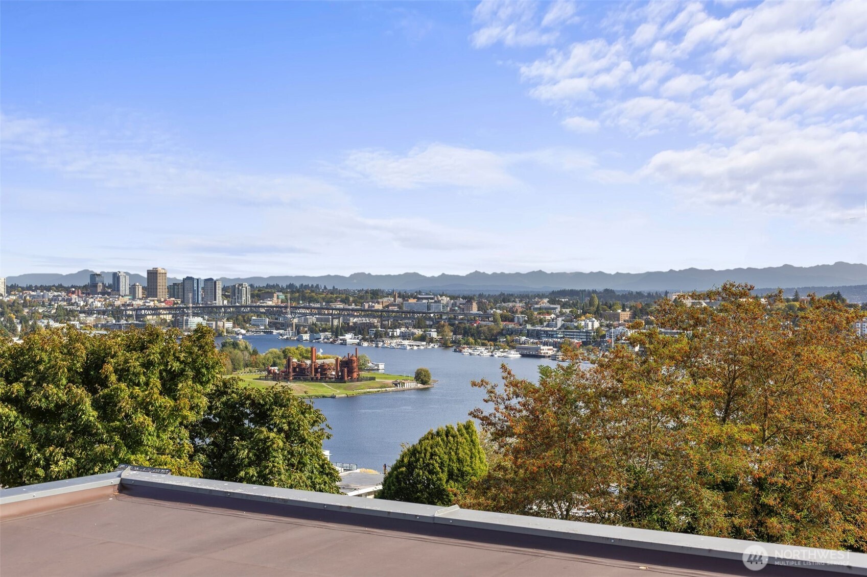 559 McGraw Street #402, Seattle, WA 98109