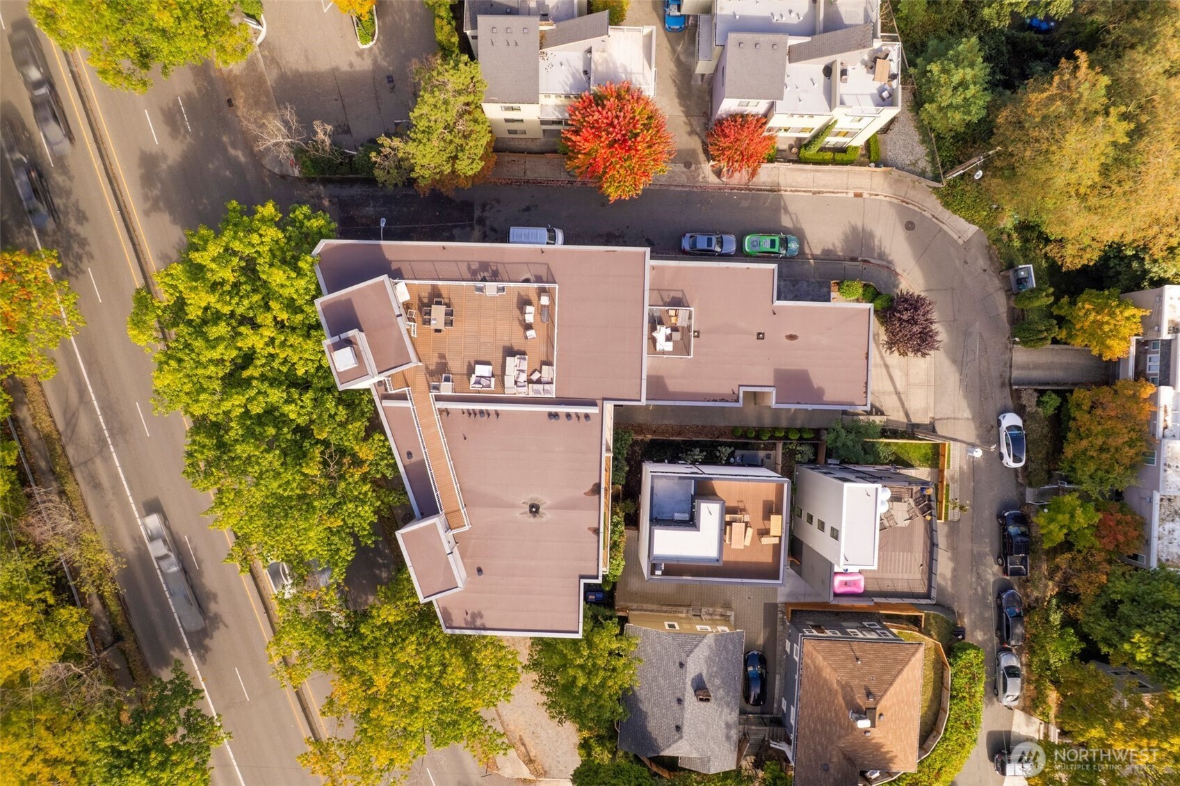 559 McGraw Street #402, Seattle, WA 98109