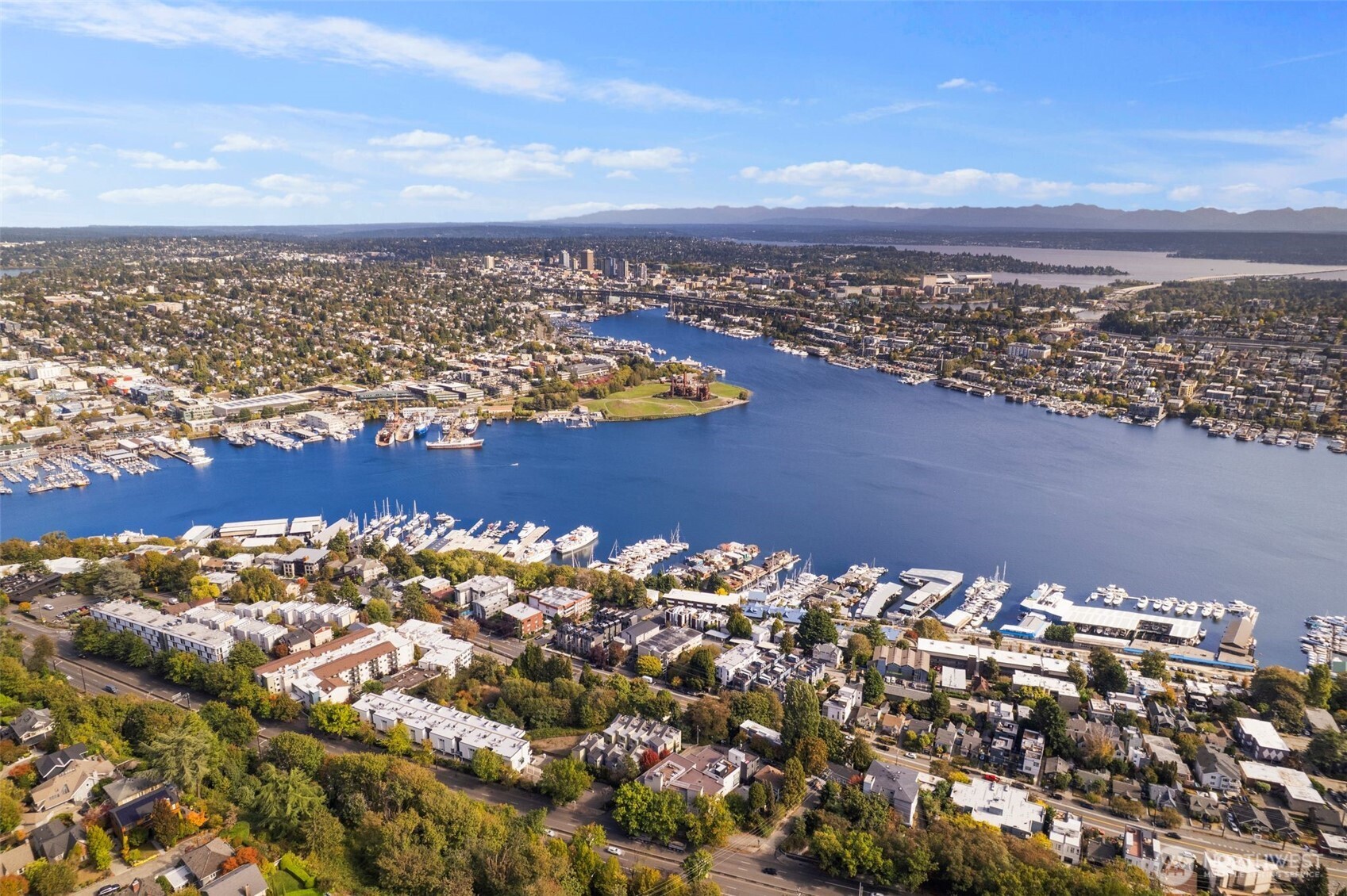 559 McGraw Street #402, Seattle, WA 98109