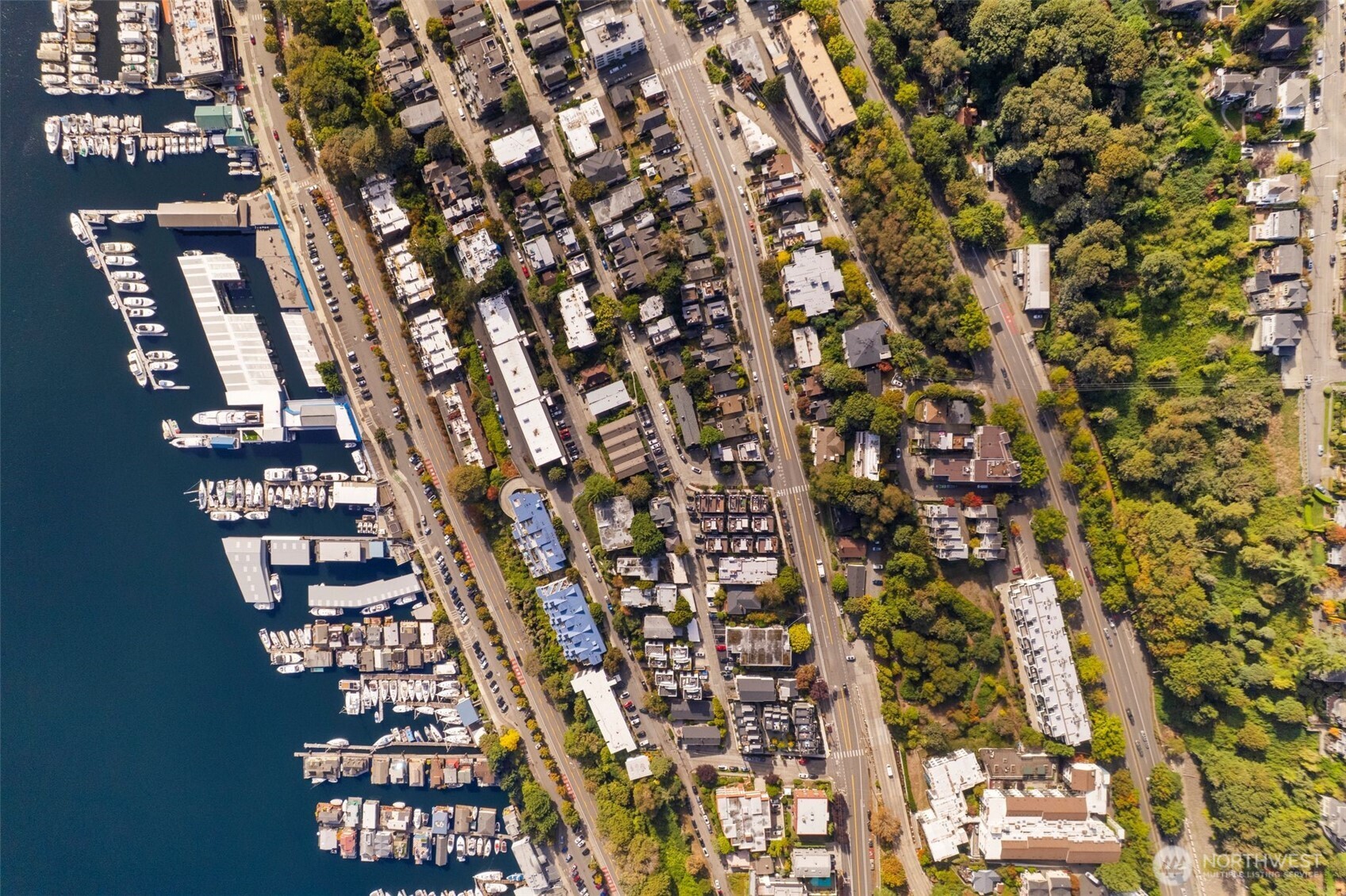 559 McGraw Street #402, Seattle, WA 98109