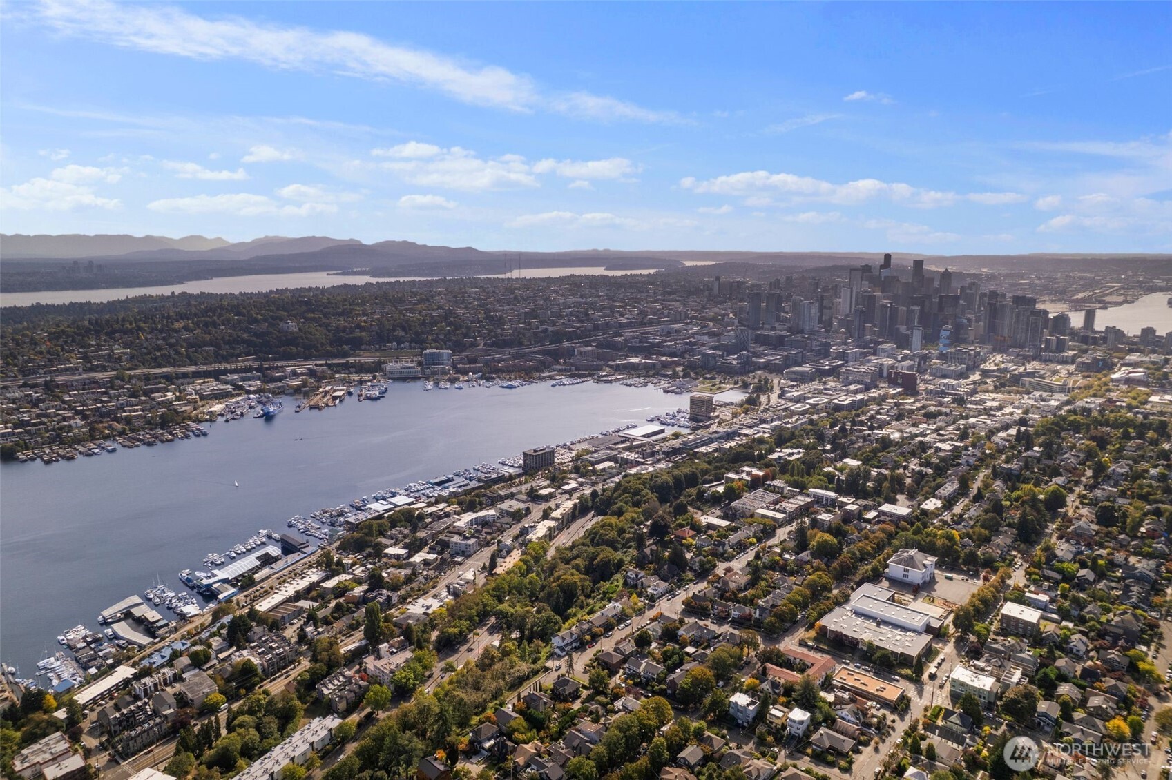 559 McGraw Street #402, Seattle, WA 98109