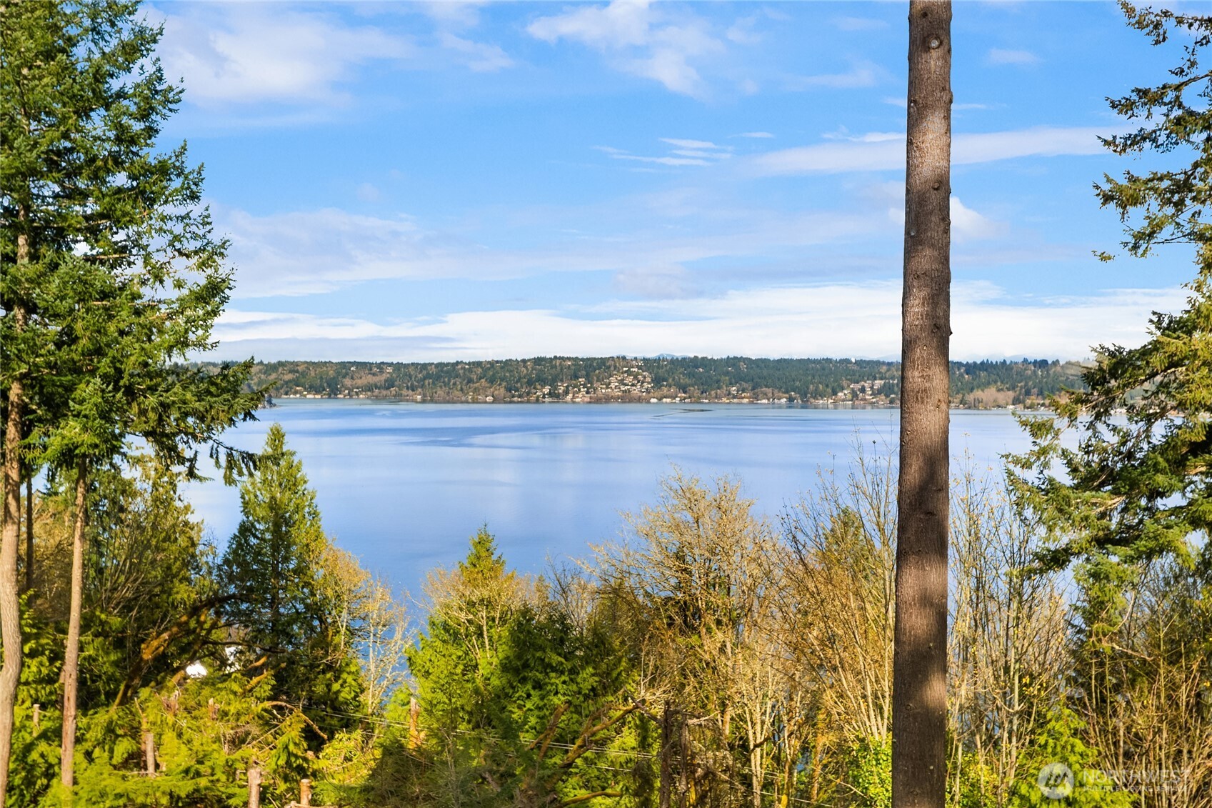 936 170th Place SE, Bellevue, WA 98008