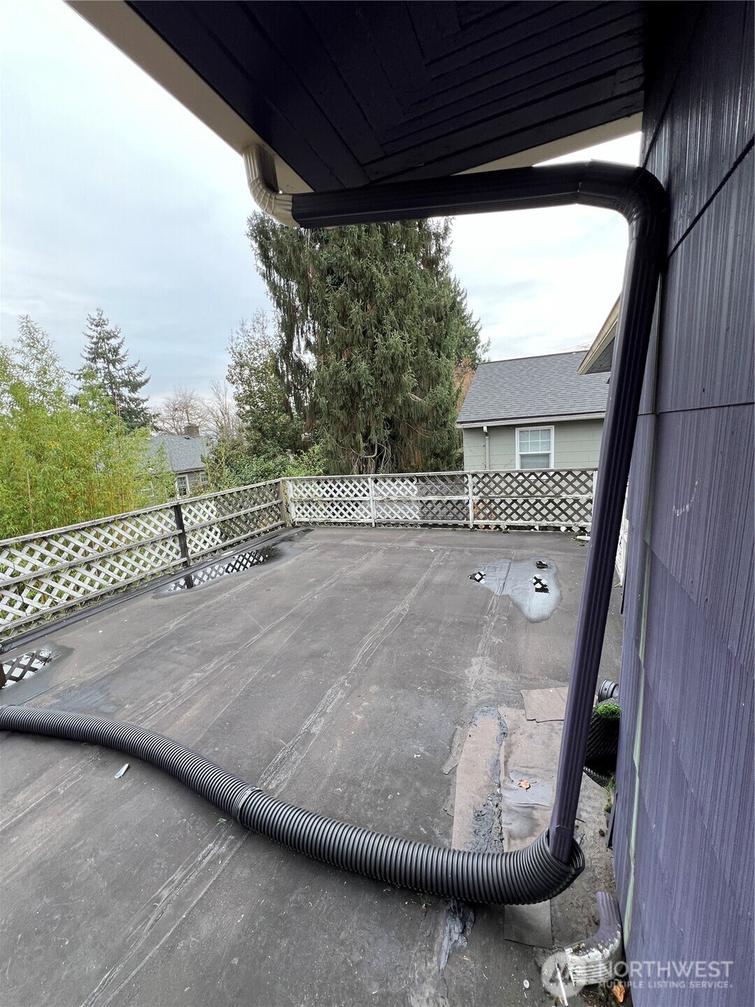 5026 20th Avenue NE, Seattle, WA 98105