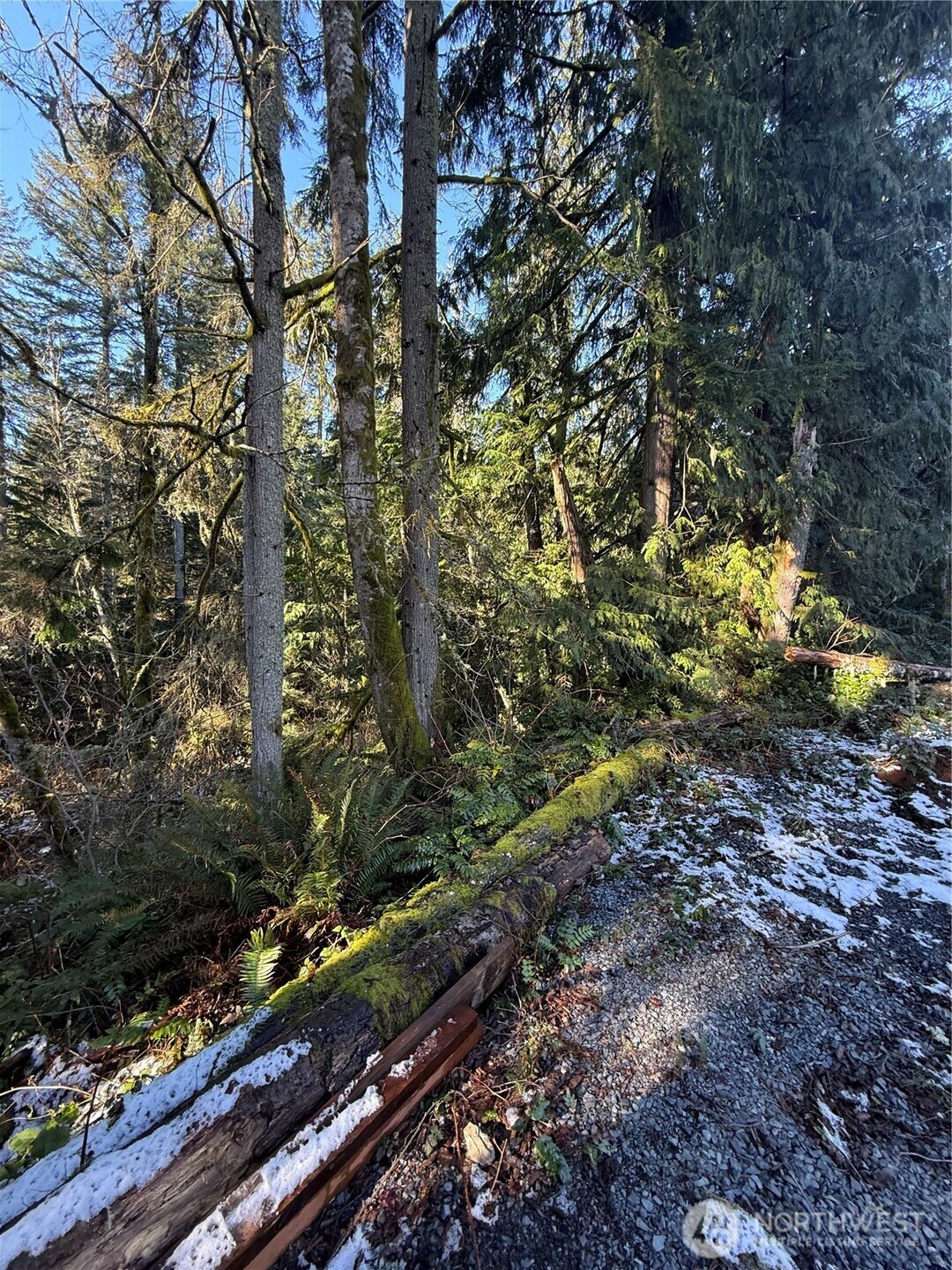 31002 Bumgarner Road , Arlington, WA 98223