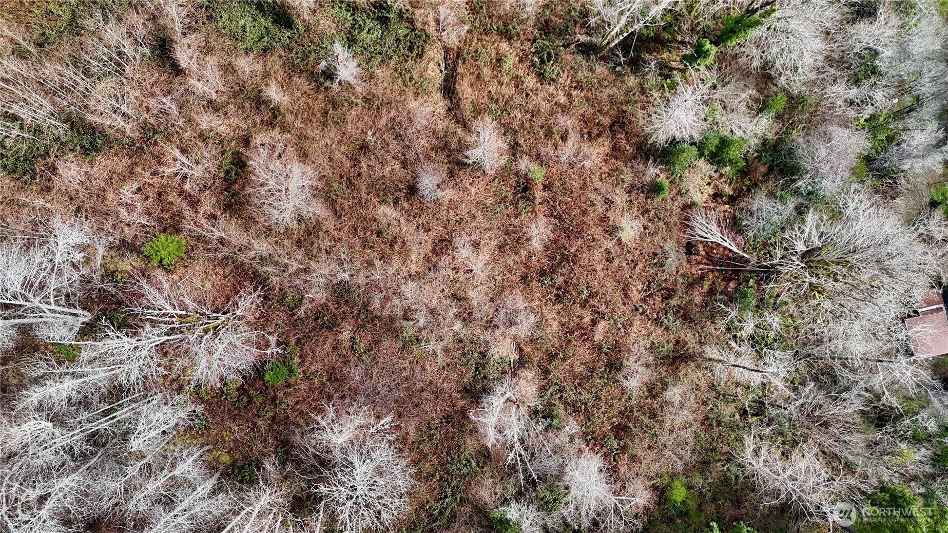 0 Grove Avenue , Raymond, WA 98577