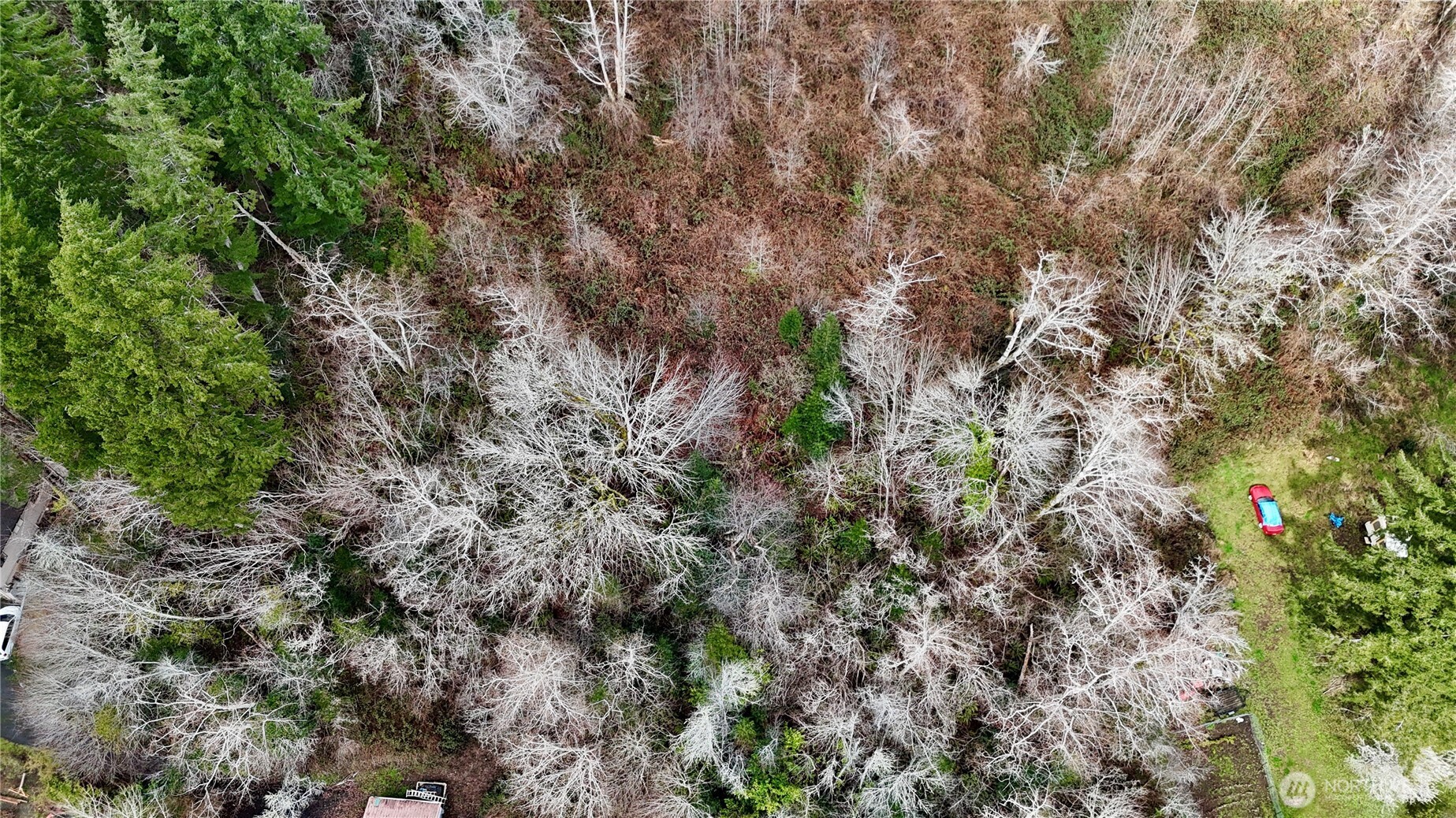 0 Grove Avenue , Raymond, WA 98577