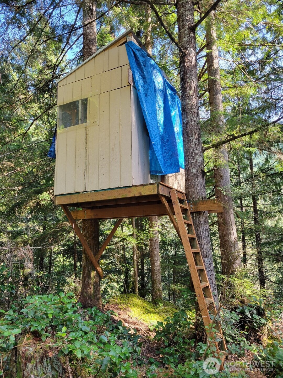 7997 Acorn Lane , Marblemount, WA 98267