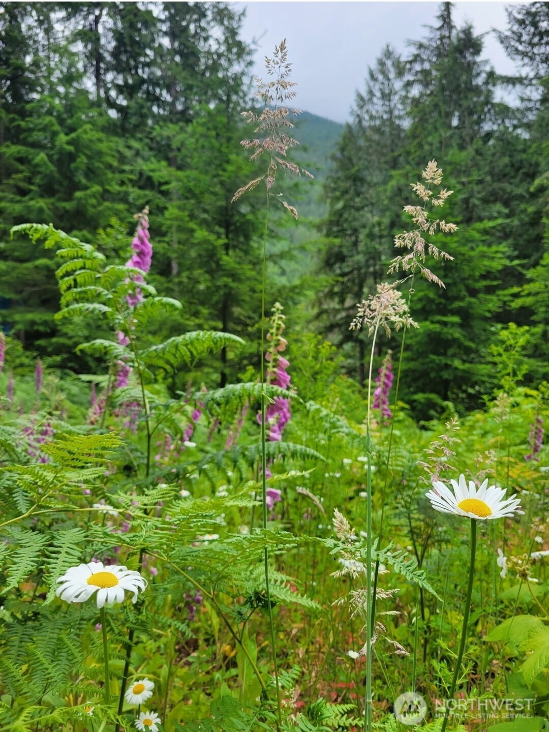 0 Acorn Lane , Marblemount, WA 98267