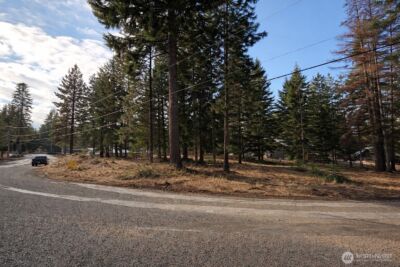 0 xxx Hermitage Drive , Cle Elum, WA 98922 - Photo 2
